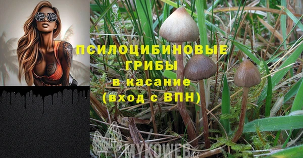 ALPHA-PVP Дмитриев