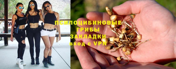 гашишное масло Дмитровск
